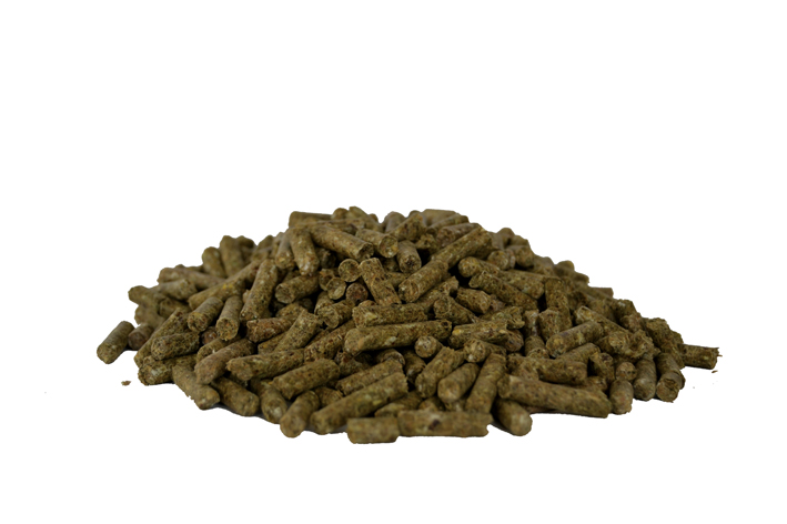 EST_GastroPellet_Inhalt_web