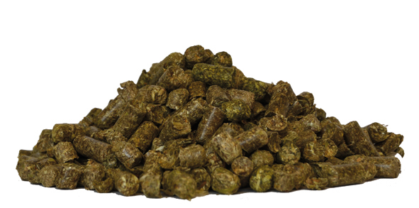 EST_Heucobs_Inhalt_web