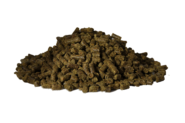 EST_Hüftgold_Inhalt_web