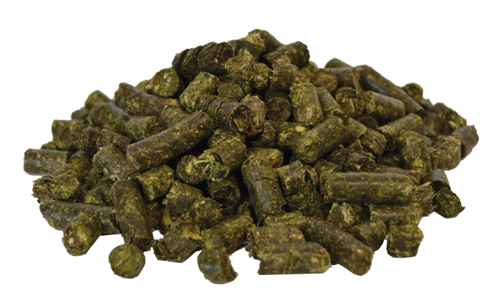 EST_Luzernecobs_Inhalt_web